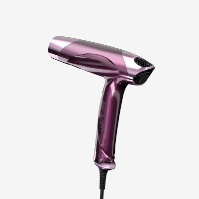 China 2021 Custom Anion Fast Drying Hair Dryer Ionic for sale