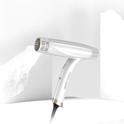 China 2021 New Ionic Anion Quick Dry Hair Dryer for sale