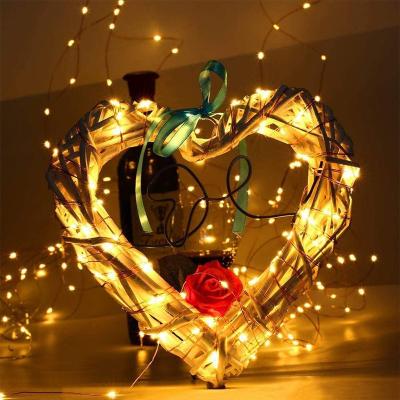 China Living Room Plastic Fairy Lights USB/Battery Festoon Light Christmas LED Box Battery Garden String Light Outdoor Holiday Decoration for sale