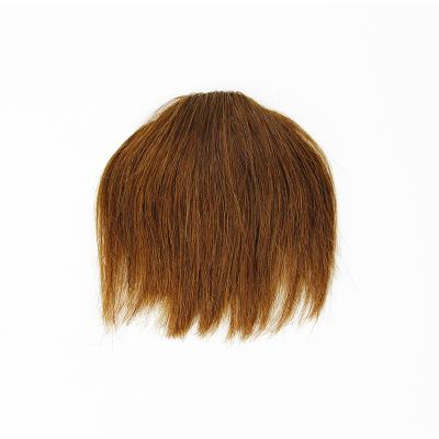 China 100% Hair Dog Chew Shape Full Fringe Hair Wig Bangs Hair Wig Fringe for sale