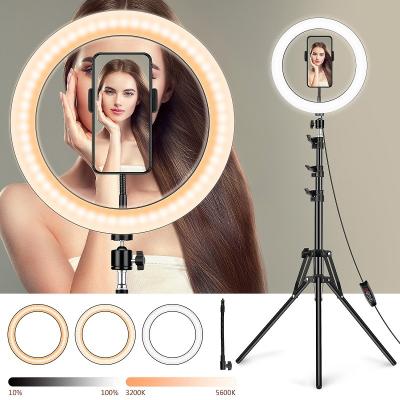 China Live broadcast tending 2021 New Products LED Ring Light Video Phone Light Holder Tripod Ring Selfie Light Stand For Tik Tok for sale