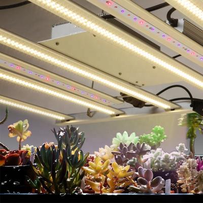 China Seed Starting DIY Indoor Farm Grow Supports Wifi Smart App Control Dimmable 600W Full Spectrum Led To Grow Light for sale