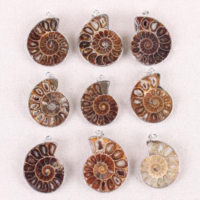 China China Fossils Conch Ammonite Pendant Agate Slices Pendant For Necklace Jewelry for sale