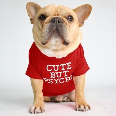 China 2021 Viable Factory Pet Charm Summer Custom Personalized Personalized Small Pet Clothes Safety Printing Dog T-shirts for sale