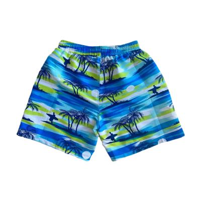 China Plus Size 2022 100% Polyester Beach Pants Boys Swimwear Beach Shorts Mesh Beach Pants Mens Swimwear for sale