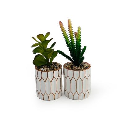 China Garden Plant Hot Sales Home Decoration Artificial Succulents Array,Garden Decorative Plant Ceramic Succulent Potted Plant for sale