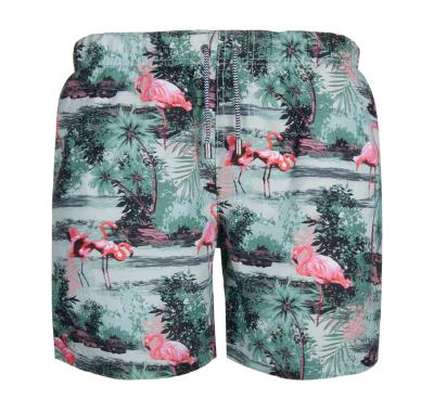 China Surfcuz Lastest Breathable Designs Red-crowned Cranes Printing Shorts Two Side Pockets For Swimming Abbreviations Man for sale