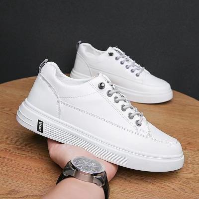 China 2022 Fashion Trend Wholesale New Arrival Summer Style Men's Casual Walking Shoes for sale