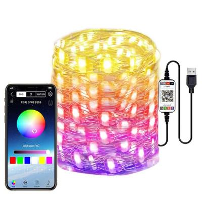 China Outdoor Waterproof Garden Copper Wire LED String Lights IP65 LED String Lights With Remote Control By Phone APP for sale