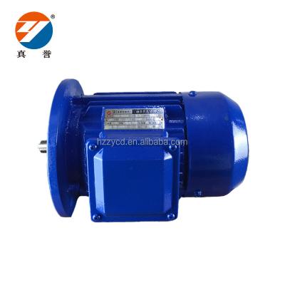 China YE2 Series AC Motor Explosion Proof Three Phase INDUCTION MOTOR for sale