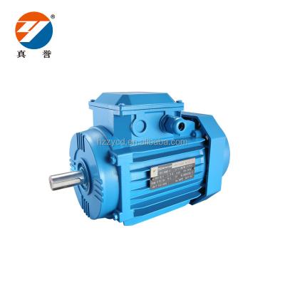 China Hot Sale YE2 Universal AC Motor Explosion Proof Three Phase AC Electric Motors for sale