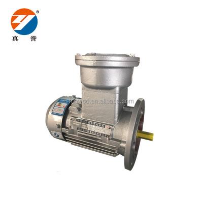 China High Torque 0.12-220KW Explosion Proof High Quality Explosion Proof Electirc Motor for sale