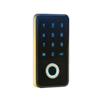 China High-end Electronic Fingerprint Spa Room Lock Electronic Safe Cabinet Lock RFID Digital Sauna Password/Smart Lock for sale