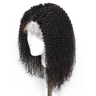 China Kinky Curly Wig Human Hair Afro Kinky Curly Full Lace Human Hair Braid Wig Wholesale Full Wig for sale