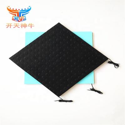 China Ground Step Mat Step Elevator Safety Mat Switch Stage Ground Safety Mat for sale