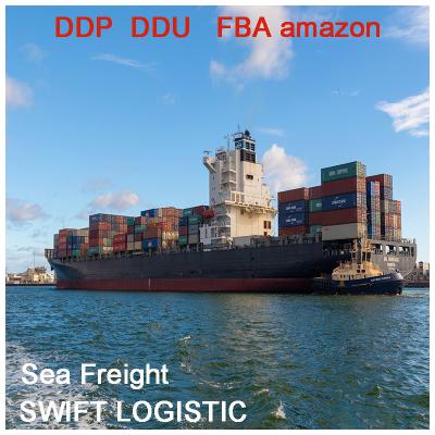 China Reliable Shipping Forwarder To USA Singapore From Ningbo NSD-S1-1 Freight Forwarder for sale