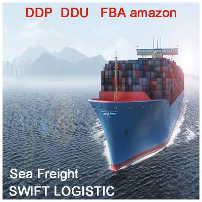 China Agent shipping from China to Malaysia by air and sea gate to doo NSD-S1-1 ddp sea freight for sale