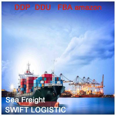 China Reliable Shipping Forwarder To USA Singapore From Ningbo NSD-S1-1 Freight Forwarder for sale