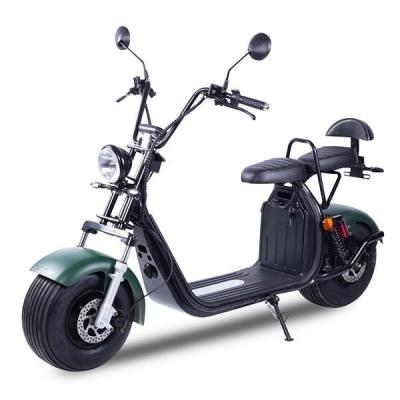 China Citycoco 1500W EEC Approved Citycoco 1500W 2 Wheel Scooter E Tire 2 Seats 45km/h E Motorcycle JJ-E014 Fat CITY ARK (EEC) for sale