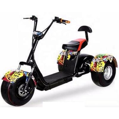 China City Cocos battery good quality citycoco 3 wheel tricycle removable safe motor electric scooter for older REINDEER JJ-T025 for sale