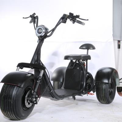 China Cocos 3 wheel most fashionable city electric scooter for adult electric motorcycle tricycle JJ REINDEER T002 for sale