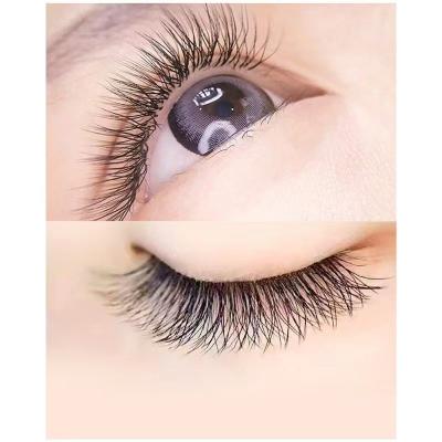 China Double Layers Natural Private Label Volume Individual Lashes Extension Split Tip Lashes 0.07mm 4D YY 2d Shape Eyelash Extensions for sale