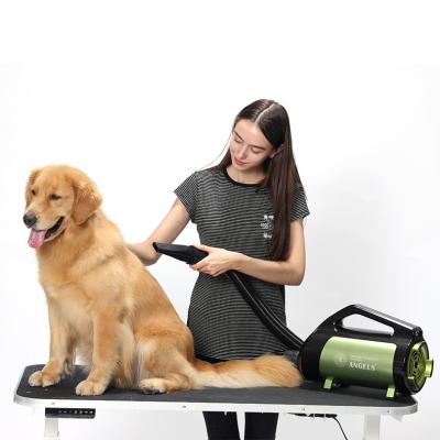 China Dogs Pet Brushless Motor DC Hair Dryer for sale