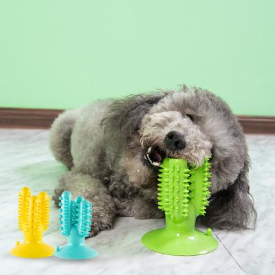 China Viable Pet Stick Molar Dog Teeth Cleaning Resistant Chewing Toothbrush Cactus Bite Suction Cup Toys for sale