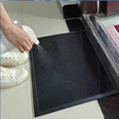 China Floor Entrance Disinfection Mat Shoe Washable Disinfection Sanitizing Tray For Entrance Indoor Doormat for sale