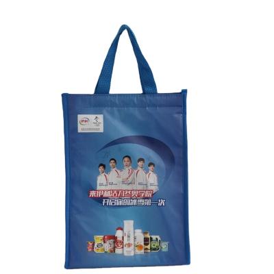 China Eco-friendly Reusable Grocery Insulation Custom Printed Non Woven Logo Tote Shopping Cooler Bag With Zipper for sale