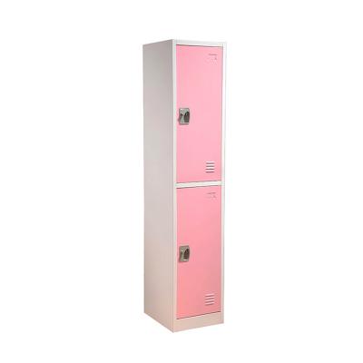 China (Other) Customized Factory Outlet Adjustable Color Metal Closet With Steel Closete Two Glass Doors Storage for sale