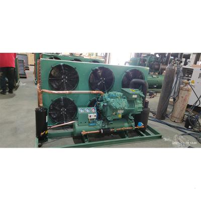 China Bizer compressor units Bizer Wind-cooling refrigeration condensing units of Bizer compressor 6G-30.2 6GE-34 for sale