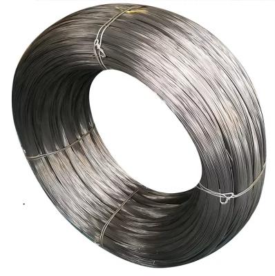 China Aisi 304 Rod High 0.04mm 0.8mm 1mm 0.13mm Industrial Stainless Steel Wire Hard Whipping Wire for sale