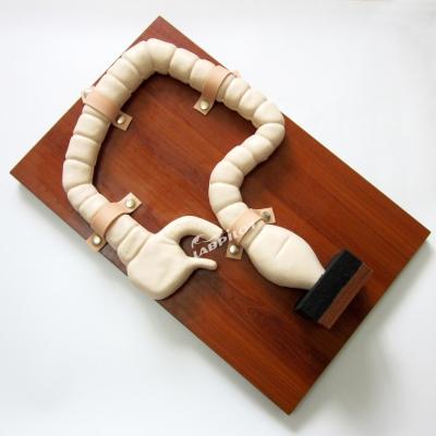 China Human Life Size Colonoscopy Examination Training Model Large Intestine Simulator for sale