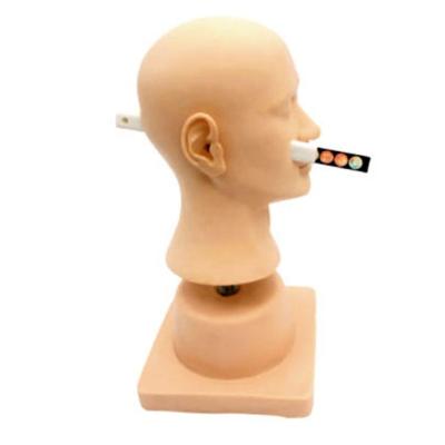 China Advanced PVC Plastic Ear Diagnostic Simulator for Otolaryngology Demonstration Tool for sale