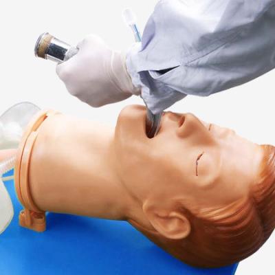 China Multi-functional Endotracheal Intubation Training Mannequin for Airway Management Model for sale