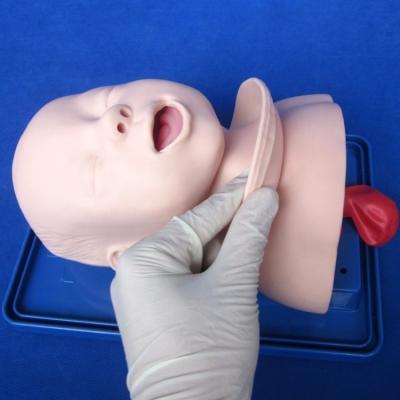 China Economic Pediatric Manikin for Vivid Infant Head Model and Infant Intubation Training for sale