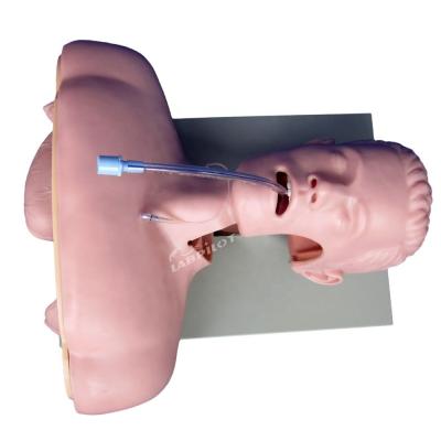 China Electronic Intubation Training Head for Advanced Airway Management Model NG Tube Function for sale