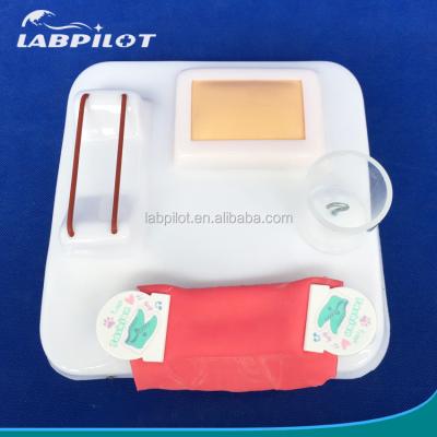 China Demonstración de atención al paciente Tamaño de vida humana Anastomosis intestinal y pad de práctica de sutura en venta