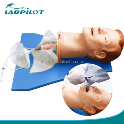 China Simulador de entrenamiento de intubación Modelo integral de vías respiratorias con maniquí de tamaño humano en venta