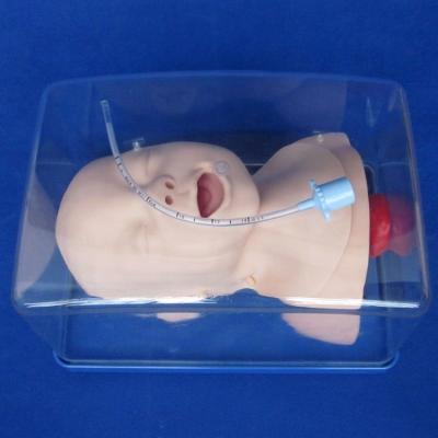 China Medical Science Training Model Newborn Trachea Intubation Head and Shoulders Phantom for sale