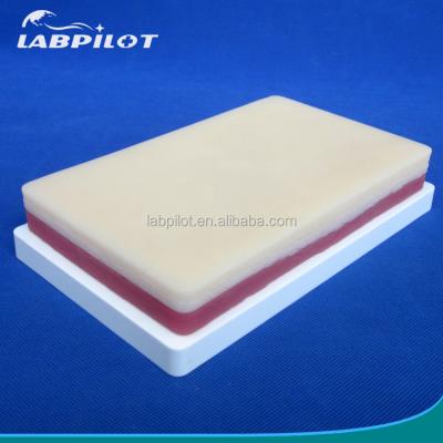 China Medical Science Suture Training 3-Layer Suture Pad with Muscle Fat and Skin Layer for sale