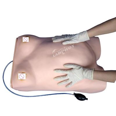 China Basic Maternity Examination Manikin for Pregnant Women Examination in Medical Science for sale