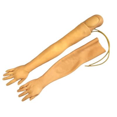 China Vivid Arm Model for IV Injection Training Multi-functional Clinical Nursing Training Model for sale