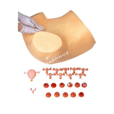 China Treinamento de cuidados de maternidade com modelo de enfermagem ginecológica avançada à venda