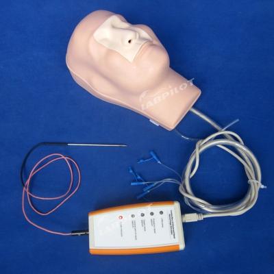 China Nasal Hämostase Kauterierung und Packing Training Manikin für Funktion Medizinisches Modell zu verkaufen