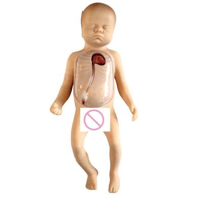 China Maniquí de lactancia para bebés de tamaño humano con cuidado neonatal modelo PICC en venta