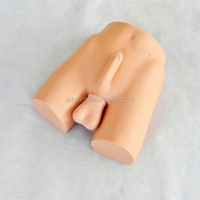 China Advanced PVC Vasectomy Manikin Model and Vasoligation Training Simulator for Products for sale