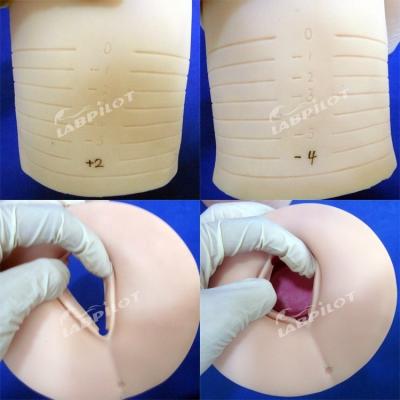 China Human Life Size Obstetrics-Gynecology Model Cervical Dilatation and Effacement Simulator for sale