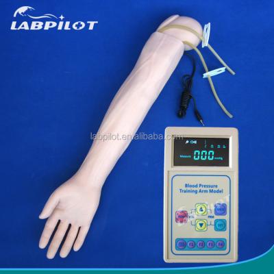 China Advanced PVC Manikin for Medical Practice Arm Simulation and BP Measurement Training for sale